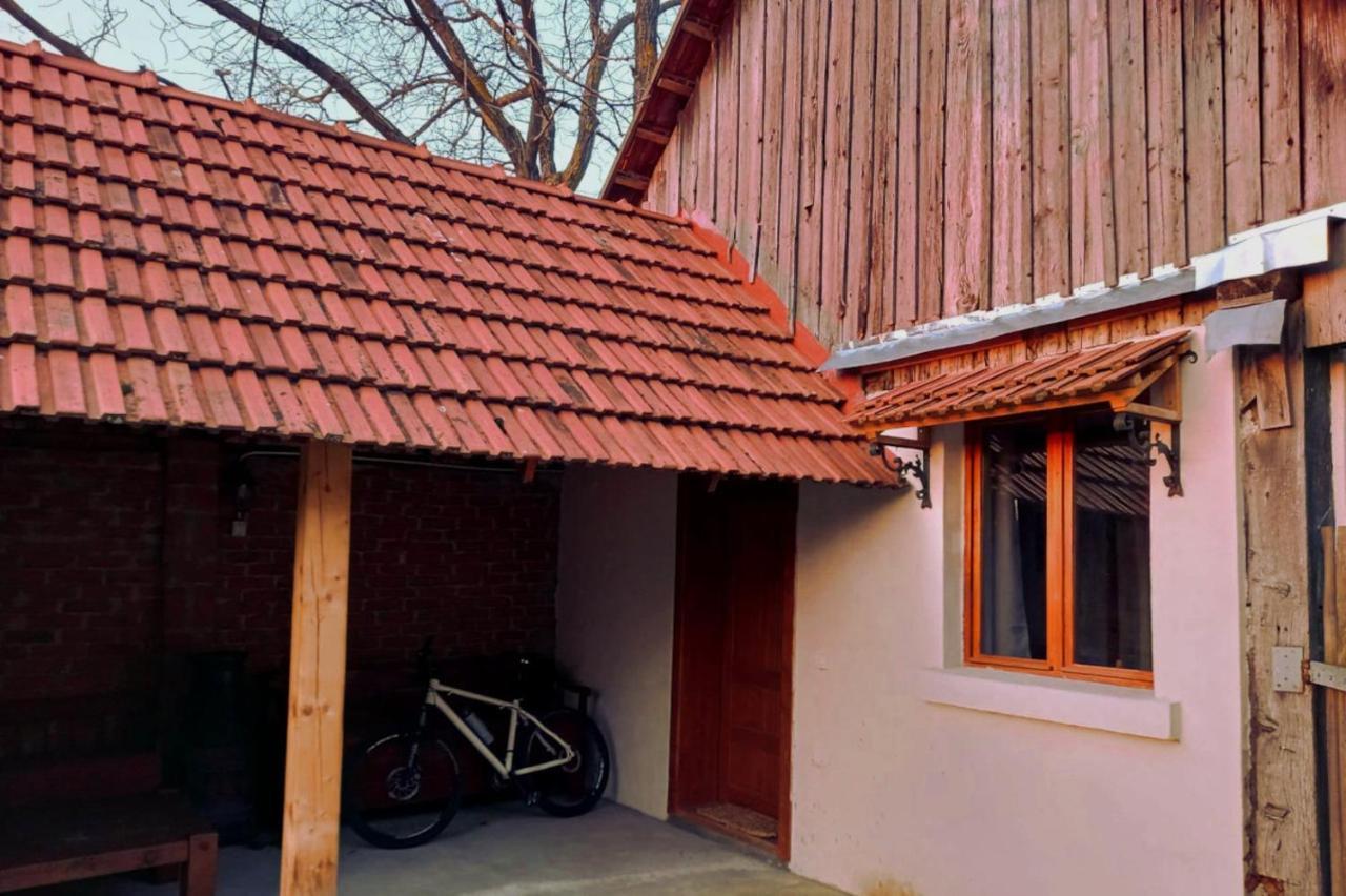 Гостевой дом Galeria Turismului Montan Кырцишоара Экстерьер фото