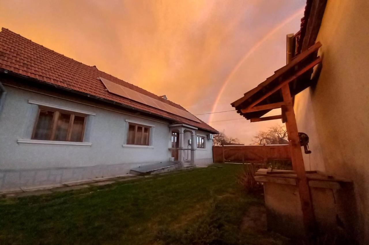 Гостевой дом Galeria Turismului Montan Кырцишоара Экстерьер фото